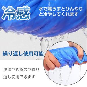 クールベスト 冷却ベスト 水冷服 夏 クールグ...の詳細画像2