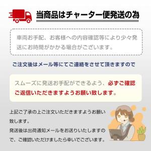 カヤック ペダル式 フィッシングカヤック ペダ...の詳細画像1