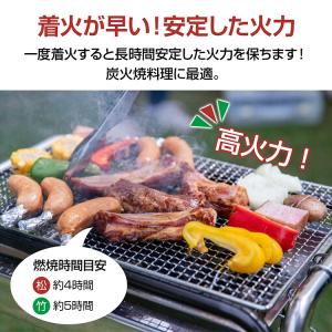 炭 オガ備長炭 10kg バーベキューコンロ ...の詳細画像2