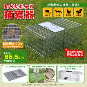 WP 害獣捕獲器 TA26用交換外バネ 2本セット 替えバネ : S.S net - 通販