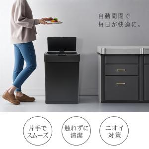 ゴミ箱 分別 自動開閉 50L おしゃれ スリ...の詳細画像2