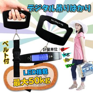 デジタル吊りはかり 計量 計測 重量 重さ 飛行機