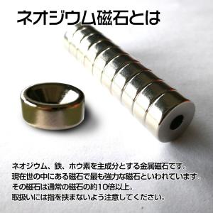 ネオジム ネオジウム 磁石 強力 10個セット...の詳細画像3