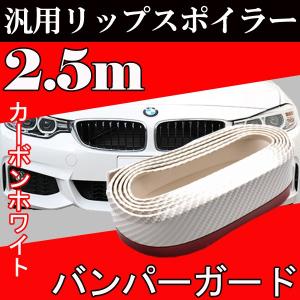 即日発送 車 リップスポイラー 汎用 アンダーガード ホワイト カーボン調 2.5m スポイラーモールディング  アンダーリップモール バンパーガード 送料無料