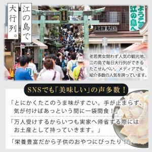 たこせんべい 江ノ島 2袋 美味しいお菓子 ギ...の詳細画像2