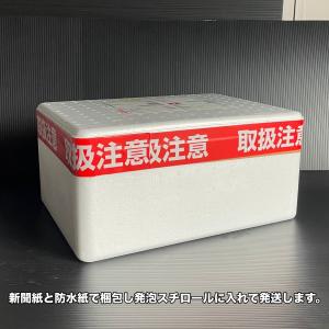 冷凍便 ドライアイス 10kg スライス1kg...の詳細画像1