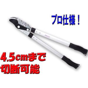 力のいらない太枝切り鋏 ギアパワー・プロ ED-51 【送料無料 SALE】 ガーデニング 農具 剪...
