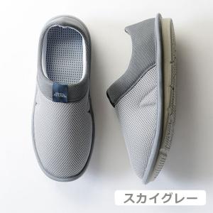 SUTTO fresh - スットフレッシュ ...の詳細画像5