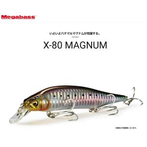 シマノ（SHIMANO） 21 ポイズングロリアス [POIZON GLORIOUS] 165MH+-