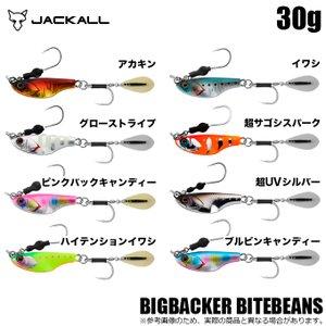 メジャークラフト エギゾーtrスマートフィット 3.5号 : KTS SHOP