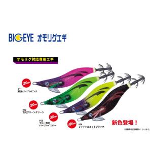DAIWA（ダイワ） ブラックレーベル SG 662L＋FS (スピニング2ピース
