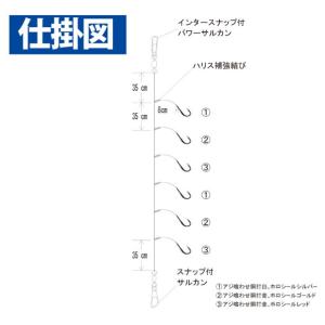 ハヤブサ SS423 タテ釣りSP ホロフラッ...の詳細画像1