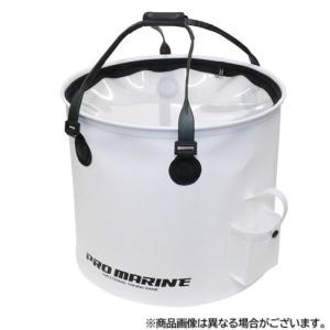 プロマリンSN3000 シャイニースピン 3号150M糸付 : KTS SHOP - 通販