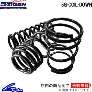 5次元 5G-COIL-DOWN 1台分 ダウンサス ツイン EC22S 5GSD053 5ZIGEN 五次元 ゴジゲン 5JIGEN ダウンスプリング バネ ローダウン｜ktspartsshop2