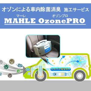 オゾンの力で車内を除菌消臭 新型コロナウイルス対策 送料無料 インフルエンザ ノロウイルス 新型コロナ COVID-19 新型インフルエンザ ペット臭 タバコ臭 花粉｜ktspartsshop