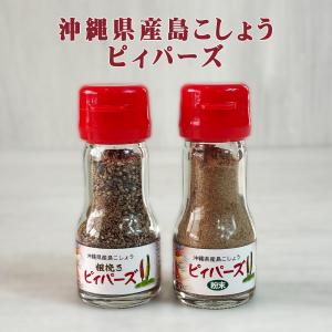 島胡椒 沖縄の調味料 万能調味料 ピペリン740...の商品画像