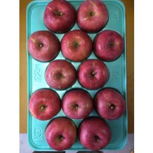 予約品2025年10月下旬〜発送分　早生ふじ贈答用10kg24玉（12×2）4Lサイズ