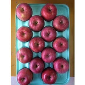 予約品2025年10月下旬〜発送分　早生ふじ贈答用10kg28玉（14×2）2Lサイズ