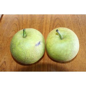 サンセーキ特秀5kg　大玉12玉　沖縄県発送の方一報ください