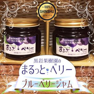 まるっとベリージャム 信州産 ブルーベリー 100% 300g×2本セット