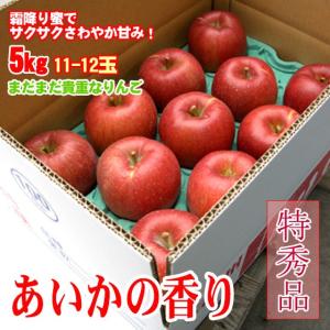 2026年秋収穫予約】 アルプス乙女 ちっちゃいりんご 10kg S〜3L混