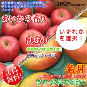 あいかの香り/名月 -訳あり- 長野県産 約9kg 32〜44玉 まるかじり 小玉サイズ