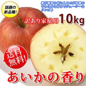 あいかの香り 長野りんご 訳あり 10kg お得な家庭用 送料無料｜くだもの屋
