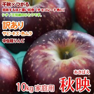 秋映 りんご 信州産 約10kg お得 訳あリ ...の商品画像