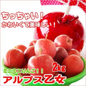 アルプス乙女 ちっちゃいりんご 2kg : くだもの屋 - 通販 - Yahoo
