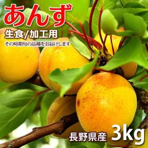 あんず 3キロ 生食/加工用 信州産 その時期旬の品種をお届けします