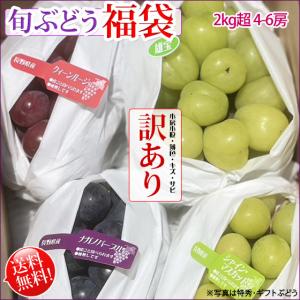 旬ぶどう-福袋訳あり- 2kgセット 送料無料