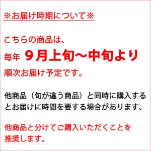 旬ぶどう-福袋訳あり- 2kgセット 送料無料の詳細画像1