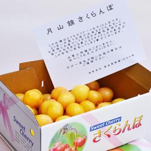 月山錦 大粒4L-2L 500g 送料無料 幻の黄色いサクランボ