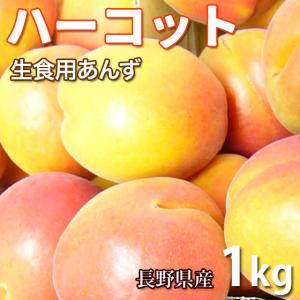 ハーコット １キロ あんず 生食用 信州産 甘くて美味しい杏♪