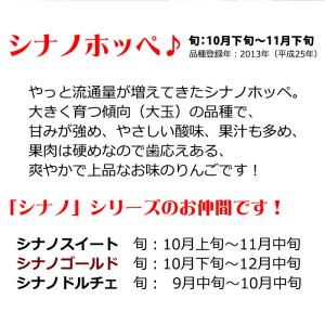 シナノホッペ 訳あり 10kg 長野県産 甘く...の詳細画像2