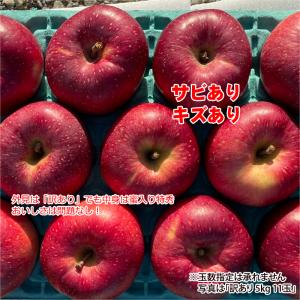 シナノホッペ 訳あり 10kg 長野県産 甘く...の詳細画像3