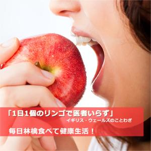 シナノホッペ 訳あり 10kg 長野県産 甘く...の詳細画像5