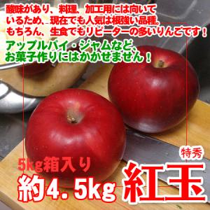 紅玉りんご 5kg箱入り約4.5kg 特秀 ギフト 送料無料