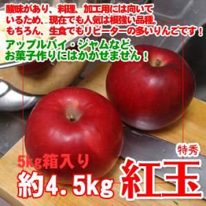 サンふじ 10kg 32-36玉 小玉 特秀 ギフト 送料無料 長野リンゴ