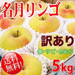 名月 訳あり 送料無料 長野県産 約5kg 家庭用