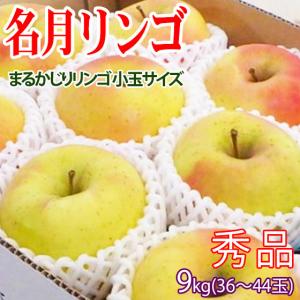 [ポイント5倍] 名月りんご 長野県産 9kg 秀品 36-44玉 送料無料 まるかじり リンゴ