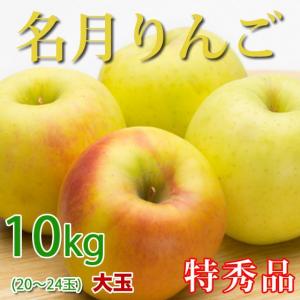 [ポイント5倍] 名月りんご 長野県産 10kg 特秀 20-24玉 お歳暮 ギフト