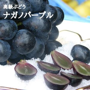 ナガノパープル 約1kg 2房 特秀 人気 露...の詳細画像2