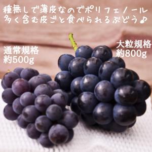 ナガノパープル 約1kg 2房 特秀 人気 露...の詳細画像3