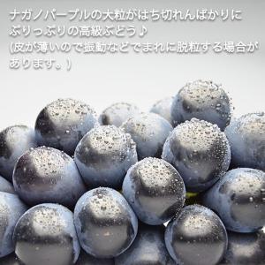 ナガノパープル 約1kg 2房 特秀 人気 露...の詳細画像4