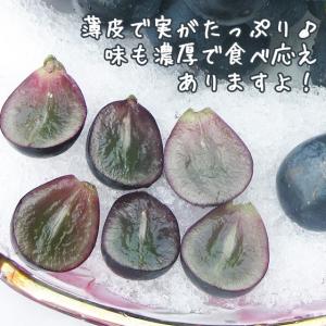 ナガノパープル 約1kg 2房 特秀 人気 露...の詳細画像5