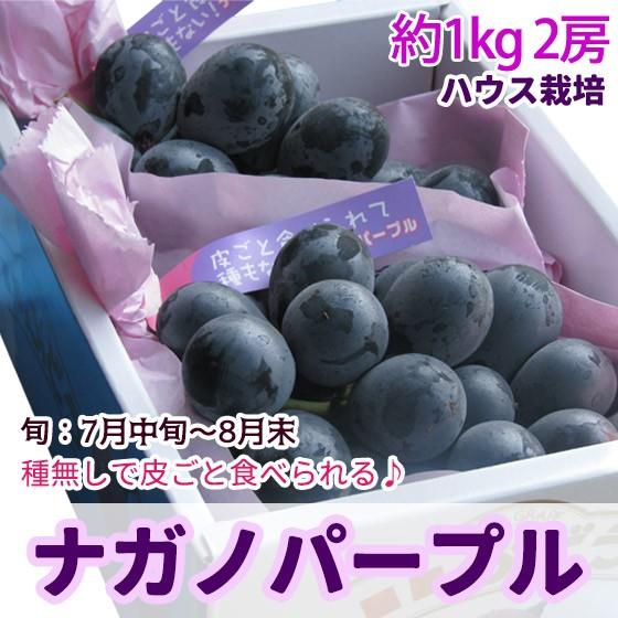 ナガノパープル (ハウス ぶどう) お中元 フルーツ  特選品 約1kg2房 送料無料