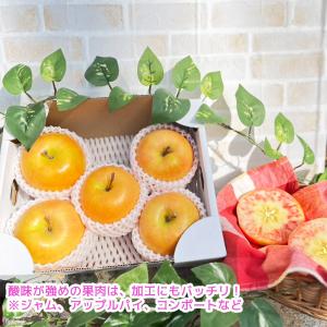 なかののきらめき 2kg 5-6玉 ピンク色を...の詳細画像2