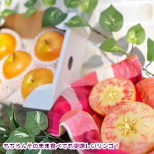 なかののきらめき 2kg 5-6玉 ピンク色を...の詳細画像3