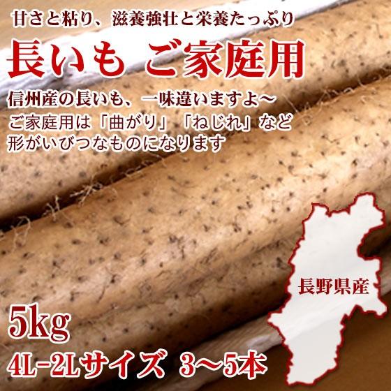 長芋 「春/秋の新堀り」 訳あり 3〜5本 4L-2L 5kg 粘りと味が一味違う長野県産です